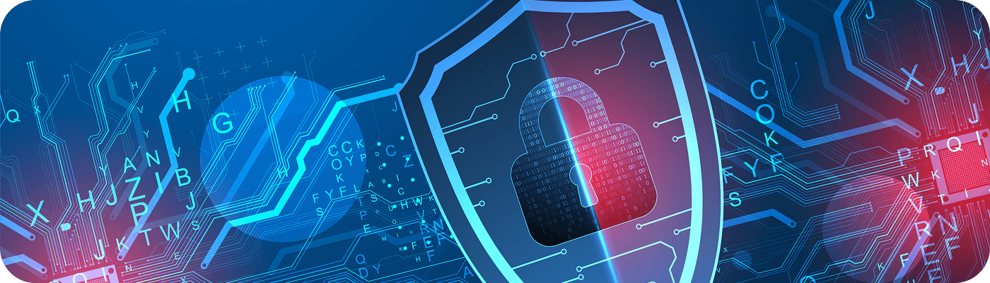 Data Security and Protection