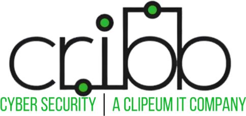 CRIBB Cyber Security