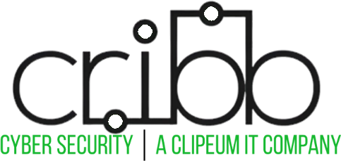 CRIBB Cyber Security